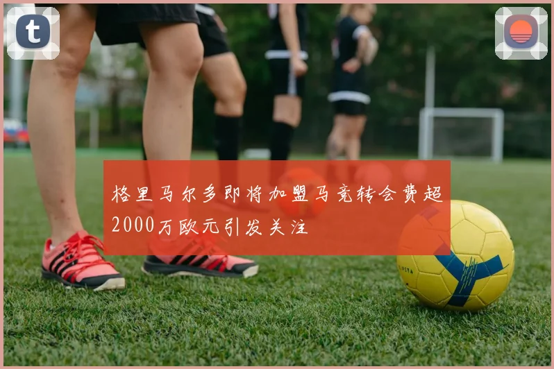 格里马尔多即将加盟马竞转会费超2000万欧元引发关注